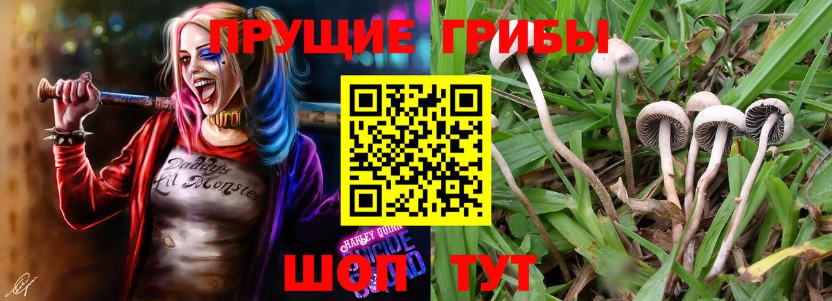 Галлюциногенные грибы MAGIC MUSHROOMS Балашиха